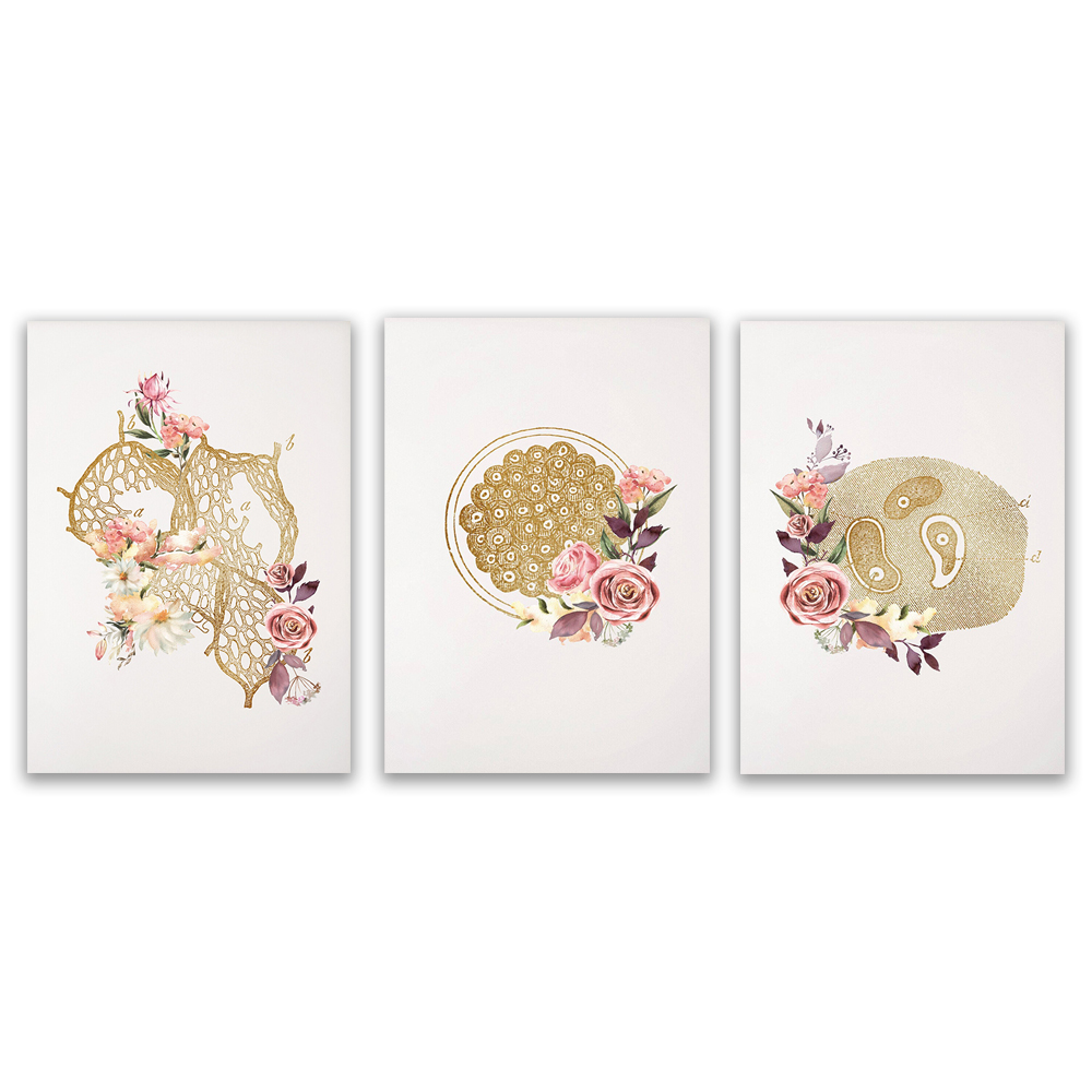 Microbiologist lab technician  - Medical Lab Gifts ulasan dan harga
